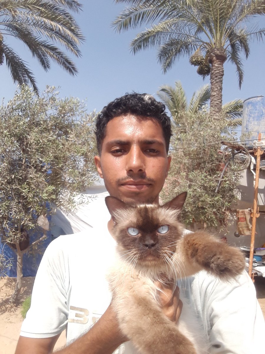 Dr_Mustafa5's tweet image. WE STILL ALIVE IN GAZA🇵🇸❤