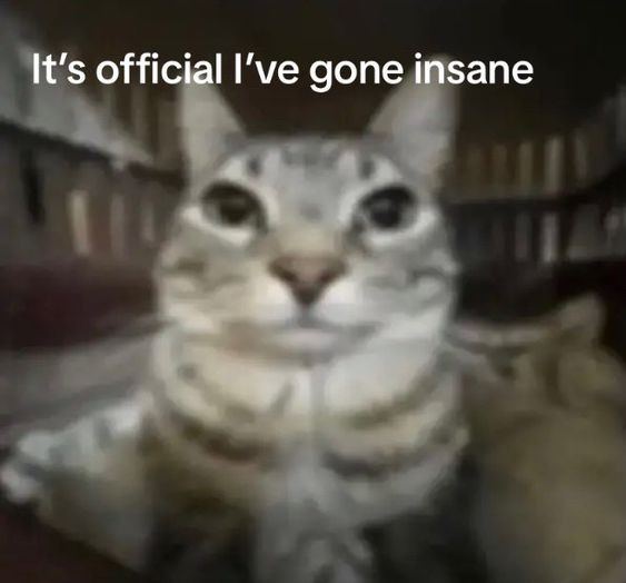 Muksi!! (@muksiiiiii) on Twitter photo 