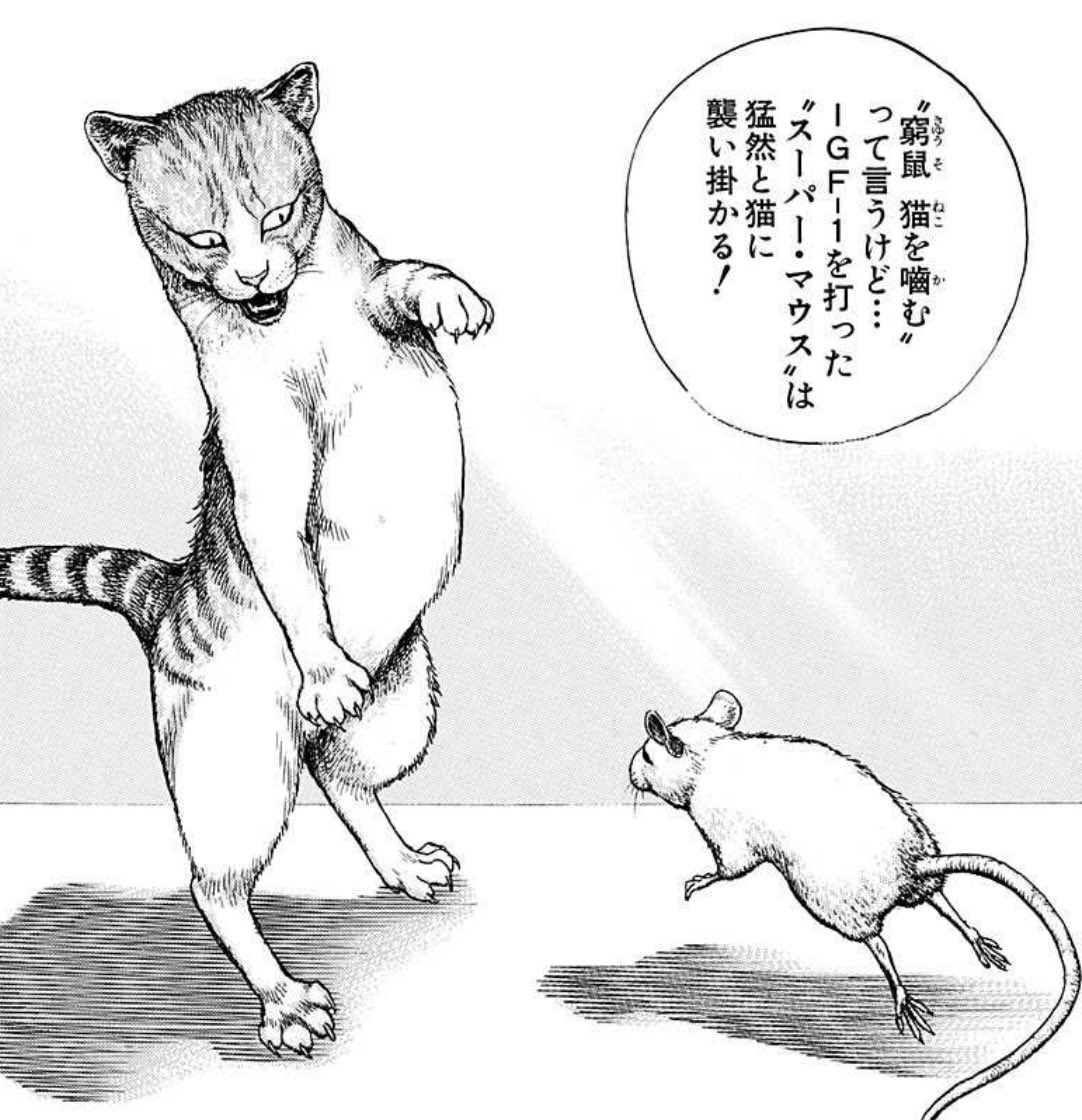 monkeydog893's tweet image. #アルジャーノンに花束をってこんな話だよね