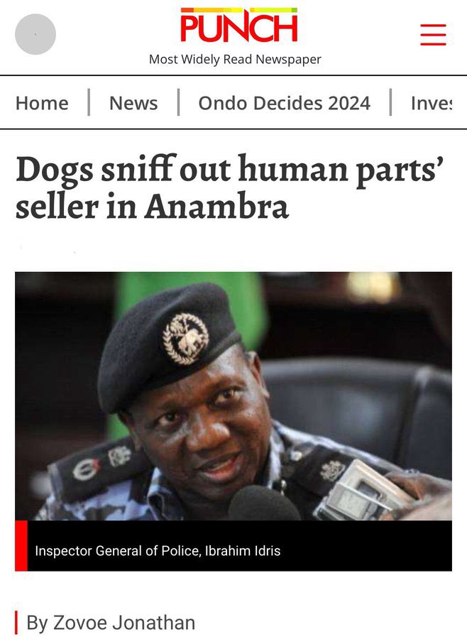 GHOOSTRX (@therealrex01) on Twitter photo <a href="/DierMikael/">Sir_ambush|💎</a> <a href="/grok/">Grok</a> <a href="/AdemolaOgudu/">Chefchenko! ☀️☀️</a> “OUR PEOPLE ATE HUMAN” - Capt Gbulie
“DOG SNIFFS OUT HUMAN PARTS in Anambra Restaurants
Mr.IBU narrated how he almost got eaten
😭😭😭😭
This is too much
IBOS stop <a href="/DierMikael/">Sir_ambush|💎</a> <a href="/grok/">Grok</a> <a href="/AdemolaOgudu/">Chefchenko! ☀️☀️</a> “OUR PEOPLE ATE HUMAN” - Capt Gbulie
“DOG SNIFFS OUT HUMAN PARTS in Anambra Restaurants
Mr.IBU narrated how he almost got eaten
😭😭😭😭
This is too much
IBOS stop