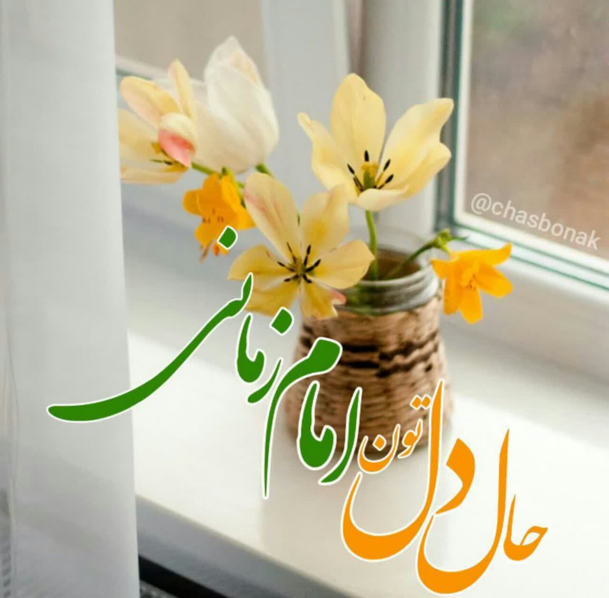 SadatMahdi63485's tweet image. بخوان دعای فرج را که یار برگردد
بخوان دعای فرج را که شب سحر گردد
