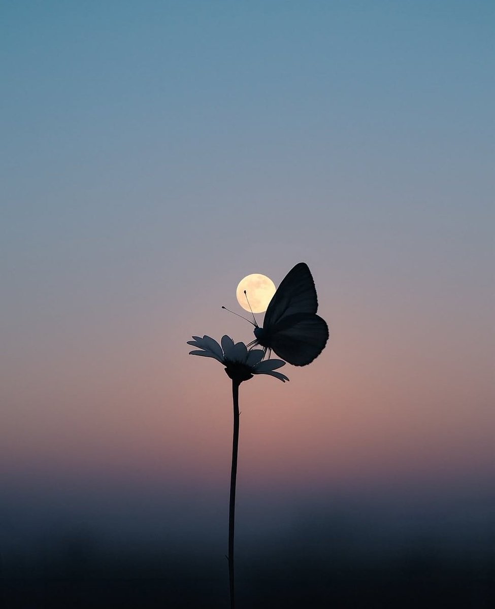 Her gün bir yerden göçmek ne iyi.