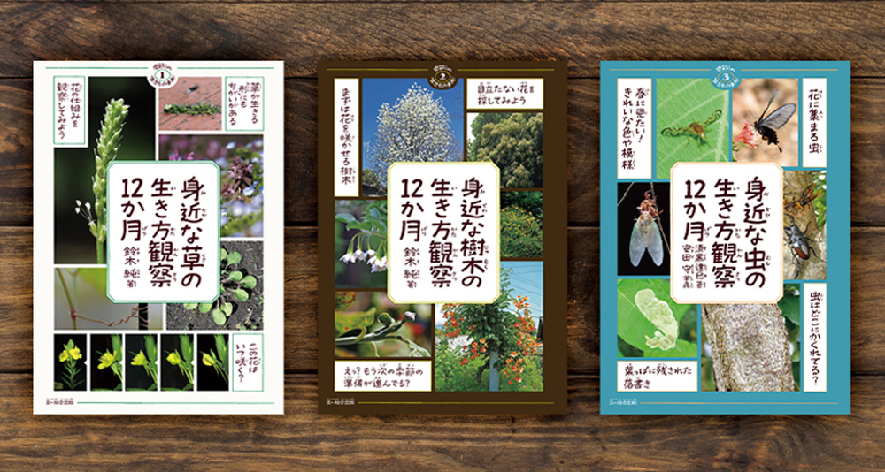 BunichiSS's tweet image. 夏休みの自由研究にもおすすめの内容が盛りだくさんの『季節の生きもの事典シリーズ』🌿
1⃣ 身近な草の生き方観察12か月
2⃣ 身近な樹木の生き方観察12か月
3⃣ 身近な虫の生き方観察12か月
どれも季節・月ごとにオススメの観察ポイントを解説し、自然観察の楽しみ方が学べる本です🪲