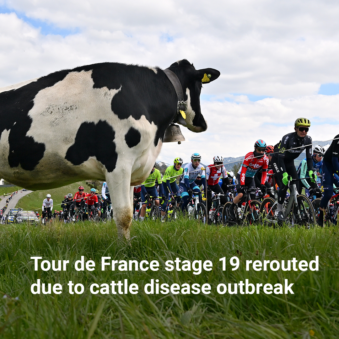 bikeradar's tweet photo. Today's Tour de France stage will now be 35km shorter due to a cattle disease outbreak https://t.co/KqqRyrlzmm https://t.co/xDxjdtSbLO