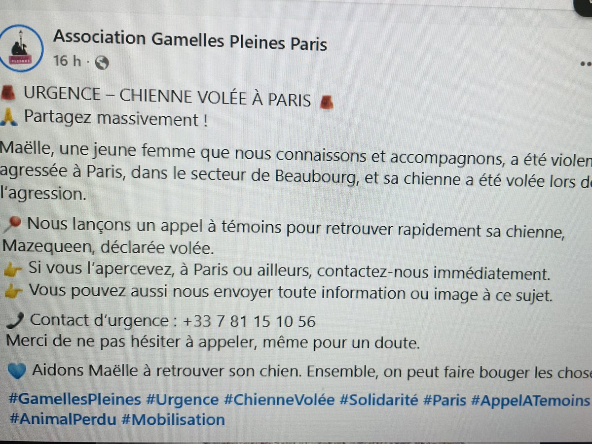 🆘 CHIENNE VOLEE - URGENCE 🆘
<a href="/GamellesPleines/">Association Gamelles Pleines France</a> lance cet appel pour retrouver cette petite chienne volee à MAELLE qui a été violemment agressée à <a href="/Paris/">Paris</a> secteur Beaubourg
STOP VOL DE CHIEN 
À PARTAGER MASSIVEMENT 
MERCI 
<a href="/HenryJeanServat/">Henry-Jean Servat</a> <a href="/courbet_julien/">Julien Courbet</a> <a href="/BFMParis/">BFM Paris Île-de-France</a> 
<a href="/Brigade_BPA/">Brigade de Protection Animale – BPA</a>