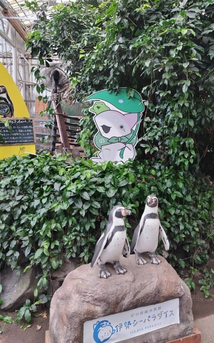kozame_info's tweet image. ✰✰映画 #おでかけ子ザメ
とかいのおともだち✰✰
本日から #伊勢シーパラダイス
コラボ開始🦭✨
冷やしパインのおまつり縁日や
施設の様々な所に子ザメちゃんが…!
宝探しやフォトコンテストなど
豪華景品が当たる企画も多数展開中✨
▼詳細はこちら▼
ise-seaparadise.com/1392/
