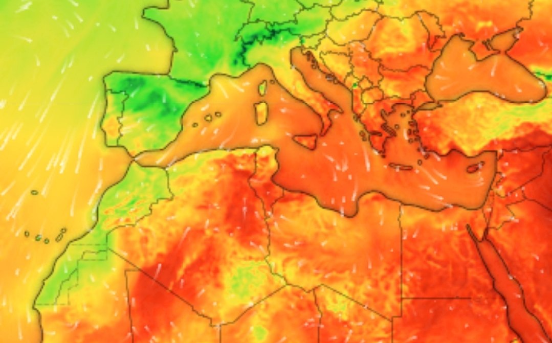 pkas1111's tweet image. 📷20 de julio: El verano más caliente de la historia en que se conocen registros
📷25 de julio: El verano más fresco de los últimos que se conocen registros