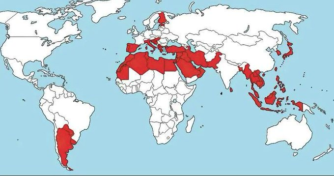 A bidet is a bathroom bowl designed to be sat upon for personal hygiene.

These are that countries that commonly use bidets.