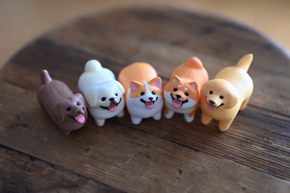 shigemochi_kun's tweet image. ˗ˏˋ お知らせ ˎˊ˗
カプセルトイ「いい感じの棒をゲットした犬」の再販が決定しました!お迎えしてくださった皆さま、ありがとうございます🥹
2025年11月再販予定です!
棒以外にも色々くわえさせて楽しんでいただけたら🌿
#いい感じの棒をゲットした犬