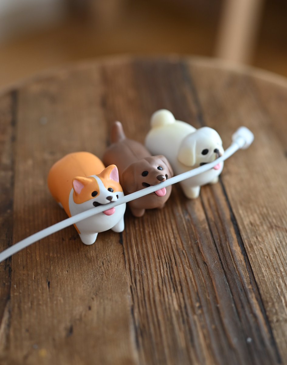 shigemochi_kun's tweet image. ˗ˏˋ お知らせ ˎˊ˗
カプセルトイ「いい感じの棒をゲットした犬」の再販が決定しました!お迎えしてくださった皆さま、ありがとうございます🥹
2025年11月再販予定です!
棒以外にも色々くわえさせて楽しんでいただけたら🌿
#いい感じの棒をゲットした犬
