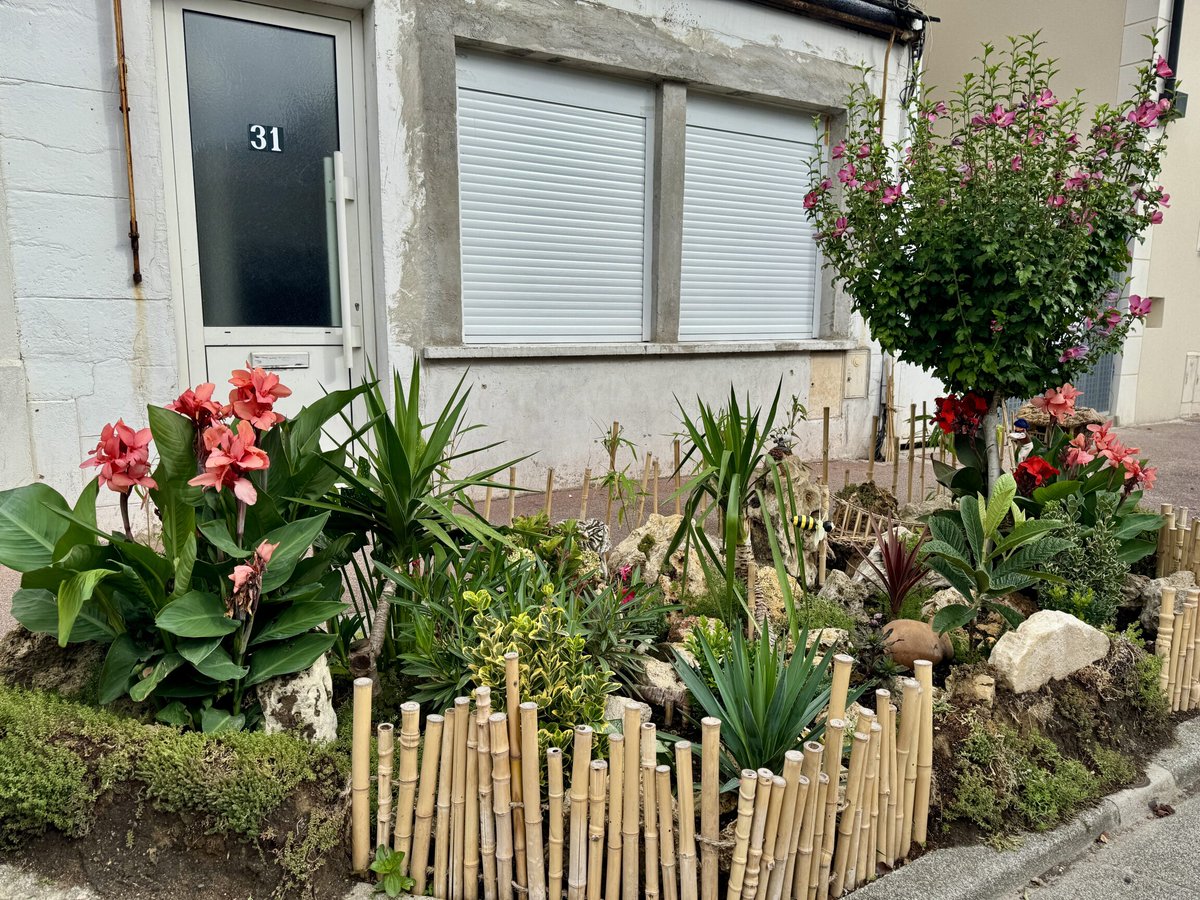 🌸 Un coin de verdure rue du 14 Juillet à Alfortville 🌿

Et si la beauté se cachait juste au coin de votre rue ? Ce nouvel aménagement floral réalisé devant le n°31 rue du 14 Juillet apporte une véritable bouffée d’oxygène et de couleurs au quartier ! 🌺🌿🌼

Grâce à