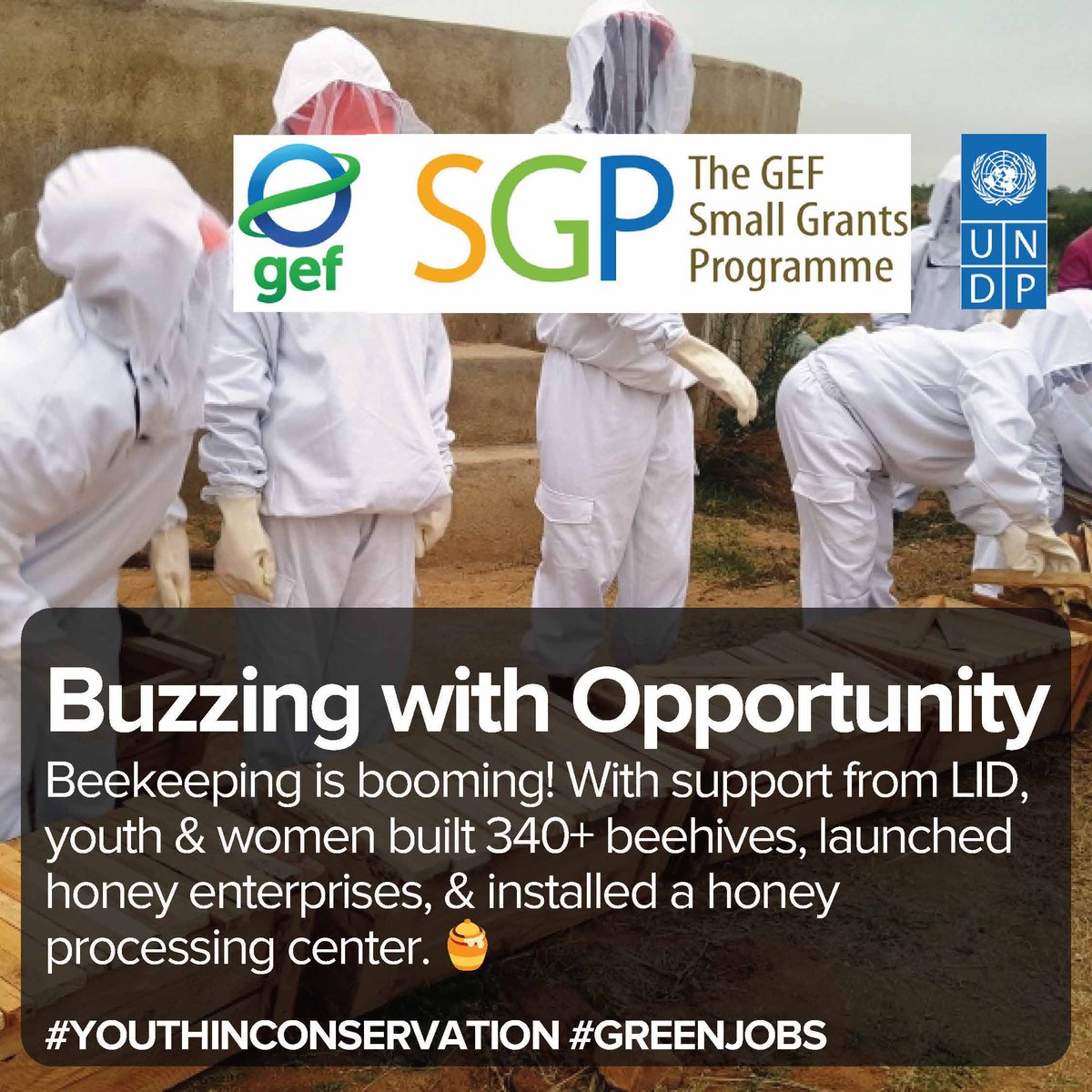 UNDP Zimbabwe (@undpzimbabwe) on Twitter photo 🐝 Buzzing with Opportunity!
Beekeeping is booming! Youth & women built 340+ beehives 🏗️🍯, launched honey enterprises & set up a processing center — creating jobs & sweet returns! 🙌🌍
#YouthInConservation #GreenJobs #ClimateAction #SDGs 🐝 Buzzing with Opportunity!
Beekeeping is booming! Youth & women built 340+ beehives 🏗️🍯, launched honey enterprises & set up a processing center — creating jobs & sweet returns! 🙌🌍
#YouthInConservation #GreenJobs #ClimateAction #SDGs