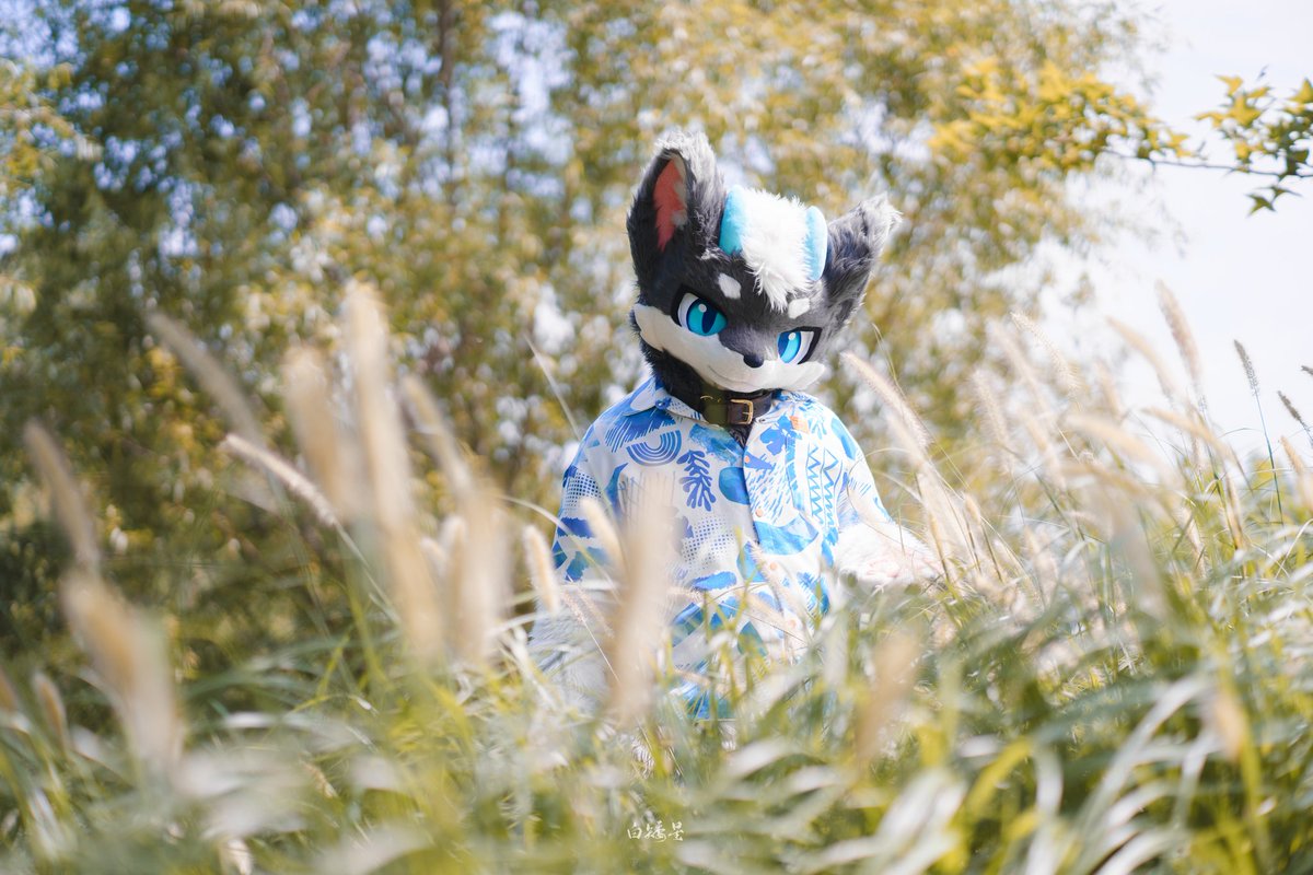 眺望。

（看起来很文艺其实是懒得想文案了）

📷：白矮星prime 
#FursuitFriday