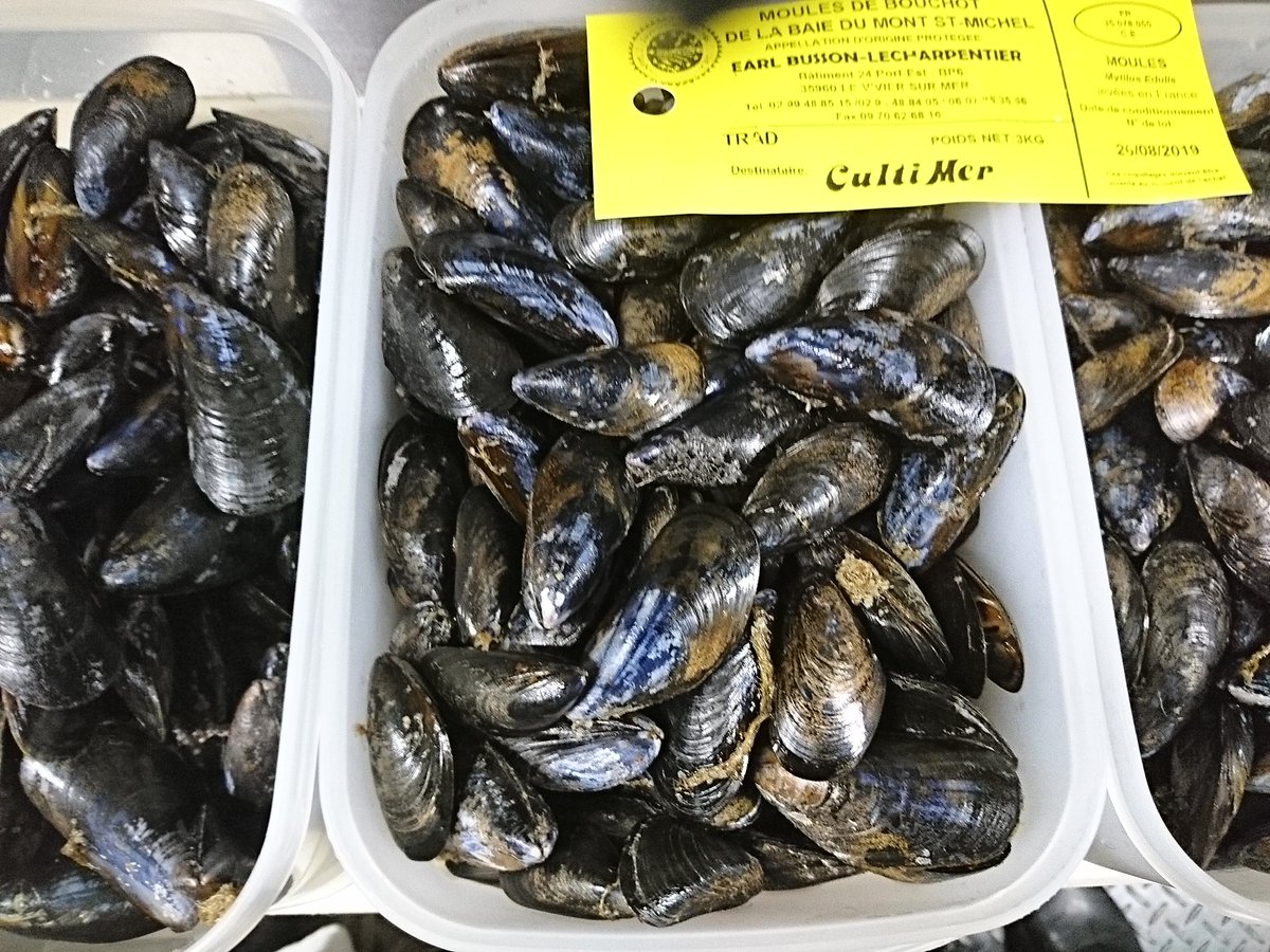 poltrone_seiro's tweet photo. 本日モンサンミッシェル空輸直送のムール貝到着しました。
シャンパン蒸しとペペロンチーノパスタでのご提供となります。 https://t.co/bgXCsDlUU7