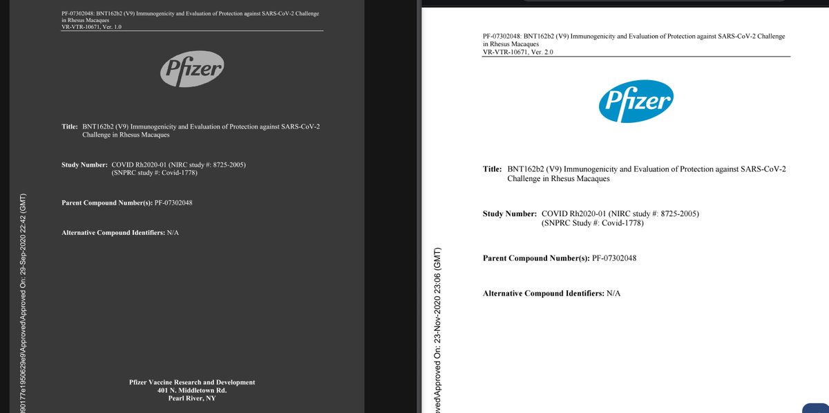 a_concerned_amyloidosis💜🐭🇩🇪 tweet media