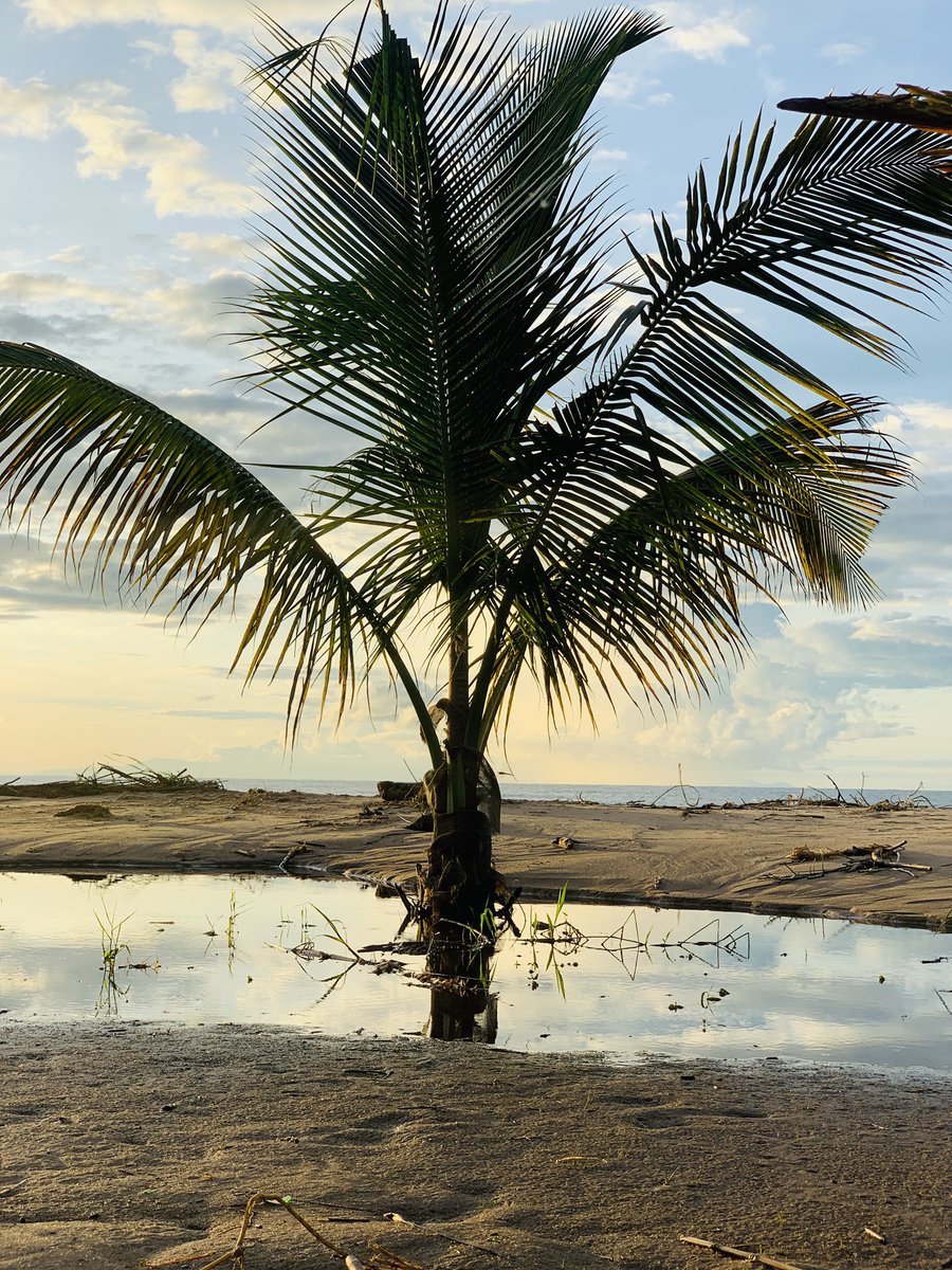 JCkahite's tweet image. Lever de soleil sur Kalemie, un tableau peint par la nature.