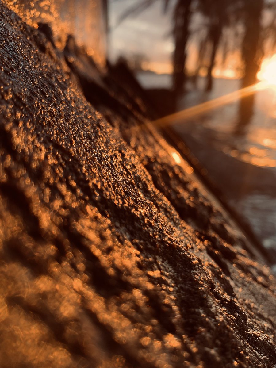 JCkahite's tweet image. Lever de soleil sur Kalemie, un tableau peint par la nature.