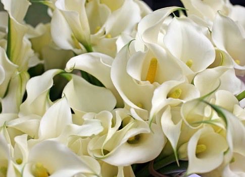 JuanAnt45206729's tweet image. #Bailándo&lt;nos&gt;LasAlmas
Muerde la vida
en sus regalos y,
cuando menos lo esperas,
te otoña
en súbitas caricias,
en blancas campanillas
inesperadas notas
y,
entonces,
te sientes afortunado y
te dejas mecer
en esas letras y miradas
y nos
bailamos
🖤
youtu.be/u_LxqwzJHR0?fe…
