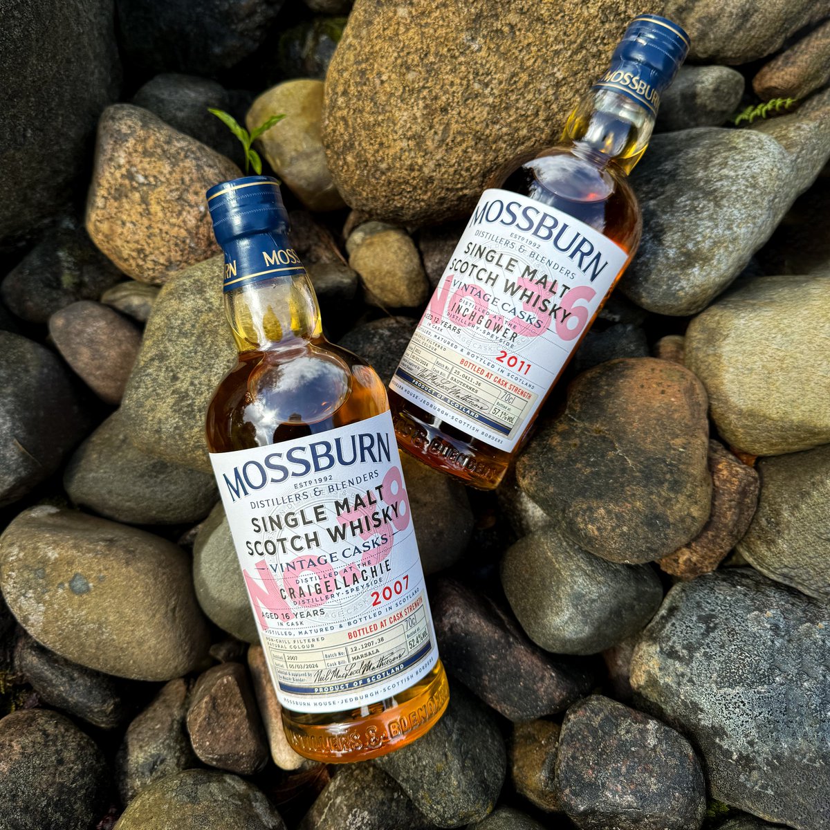 New in: Mossburn Bottles Galore!

We've just stocked *three* Mossburn Vintage Casks! Shop the Mossburn Inchgower 2011 12 YO, North British 2008 15YO, and Craigellachie 2007 16YO, now!

More new releases: whiskyshop.com/newreleases