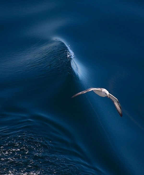 joanna333375101's tweet image. “Can miles truly separate you from friends…
If you want to be with someone you love, aren’t you
already there ?”
- Richard Bach.