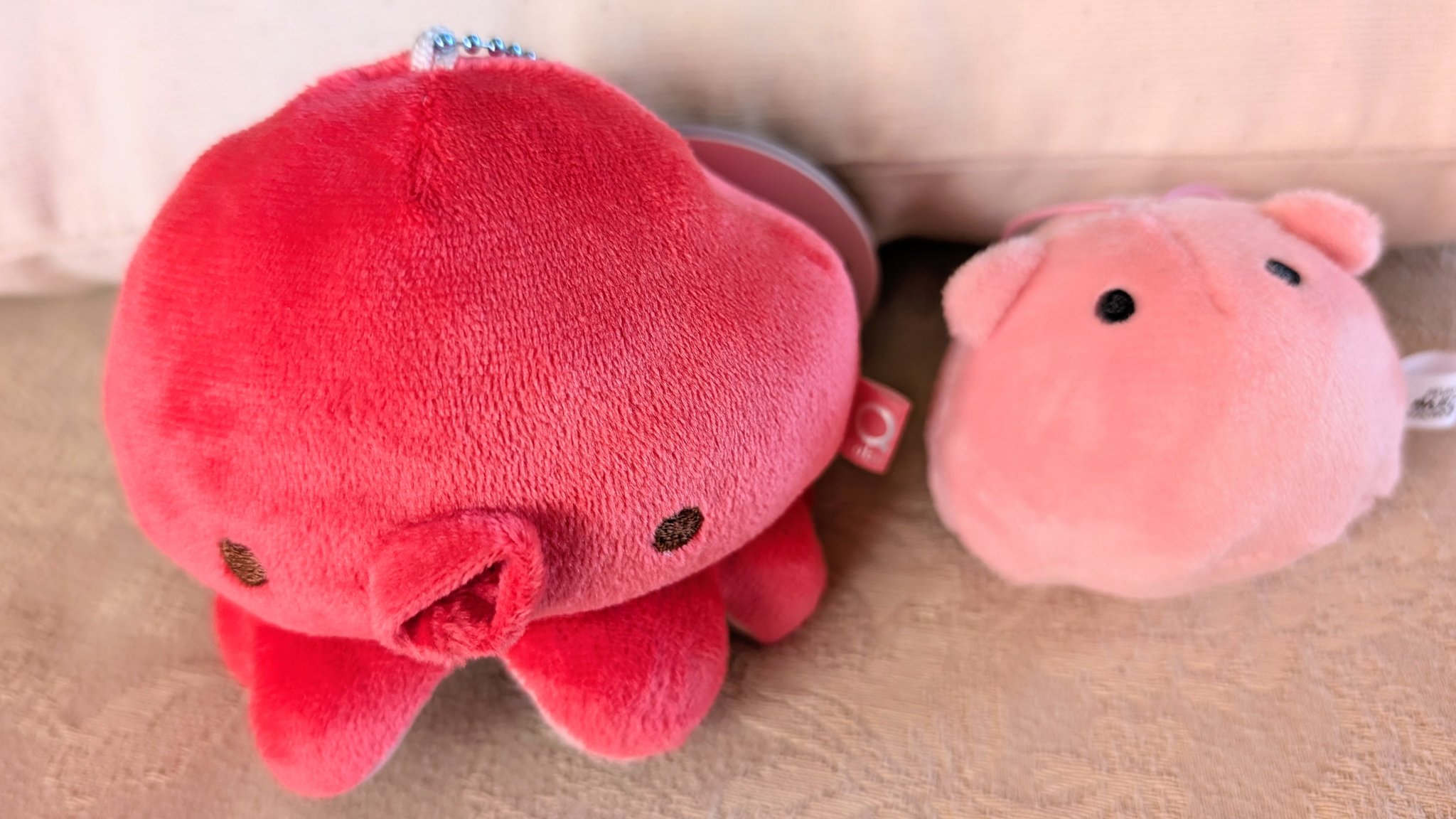 めんだこ imgrc0077016239.jpg