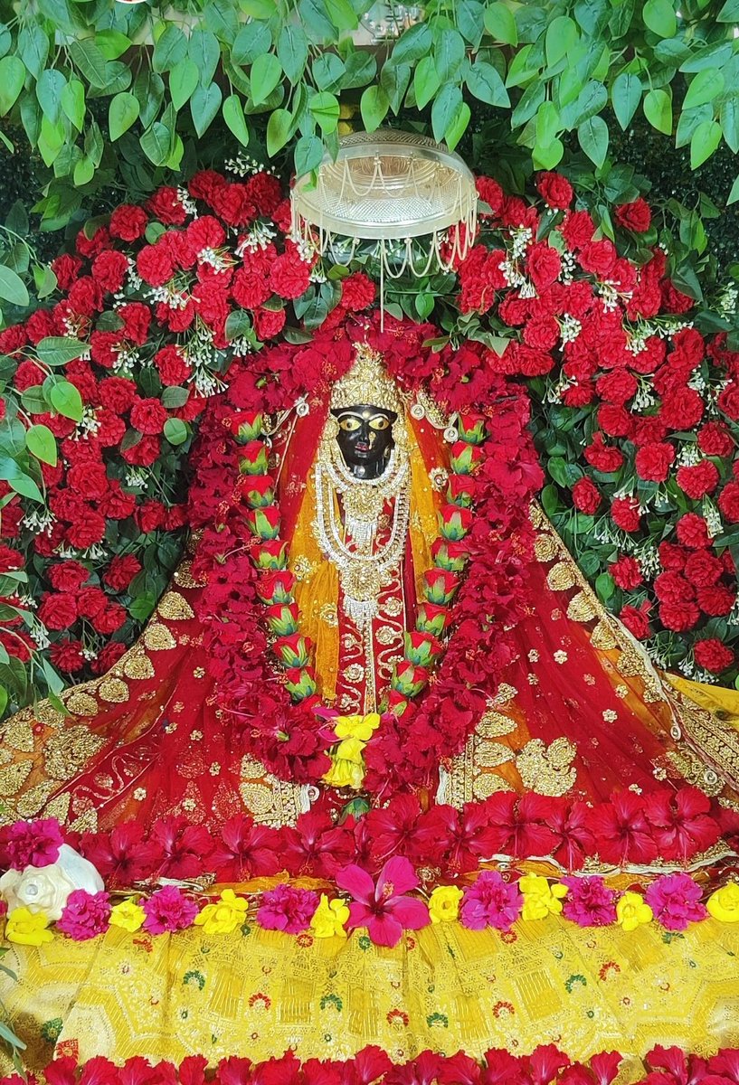 Poonam Tiwari (@poonam80626514) on Twitter photo 
