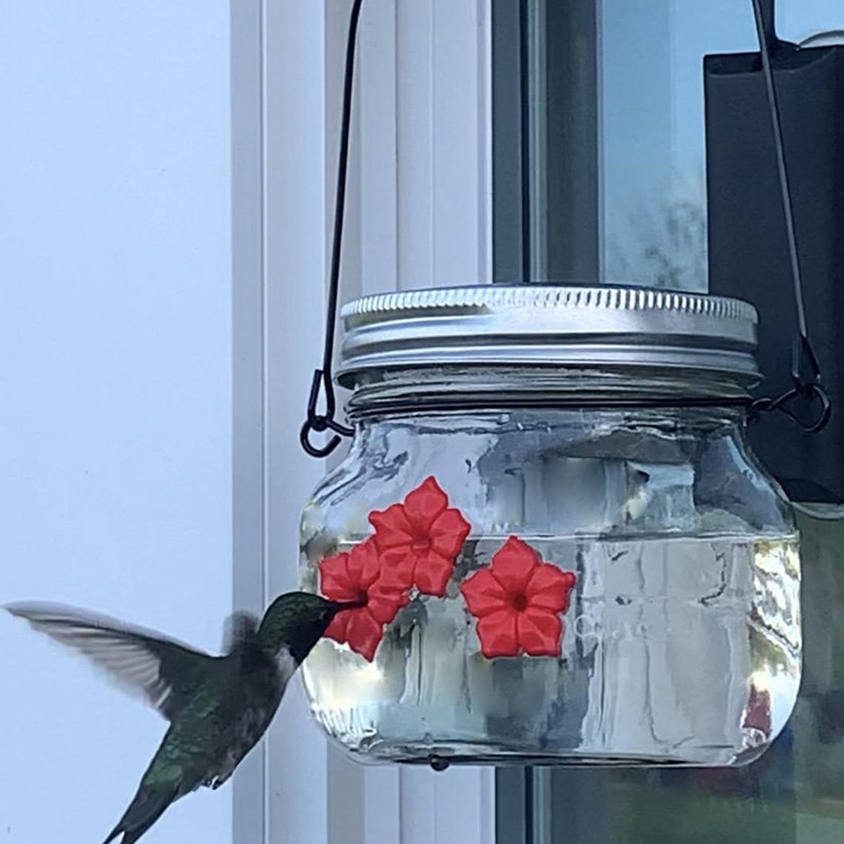 UnicunShop's tweet photo. Attract tiny feathered friends to your garden with our adorable Plastic Flower Hummingbird Feeder! πΈπ¦ Easy to fill & clean, it's the perfect gift for bird lovers of all ages. https://t.co/6XQXSWcyRZ #hummingbirdfeeder #birdfriendly #gardendecor https://t.co/fmgR15knzf