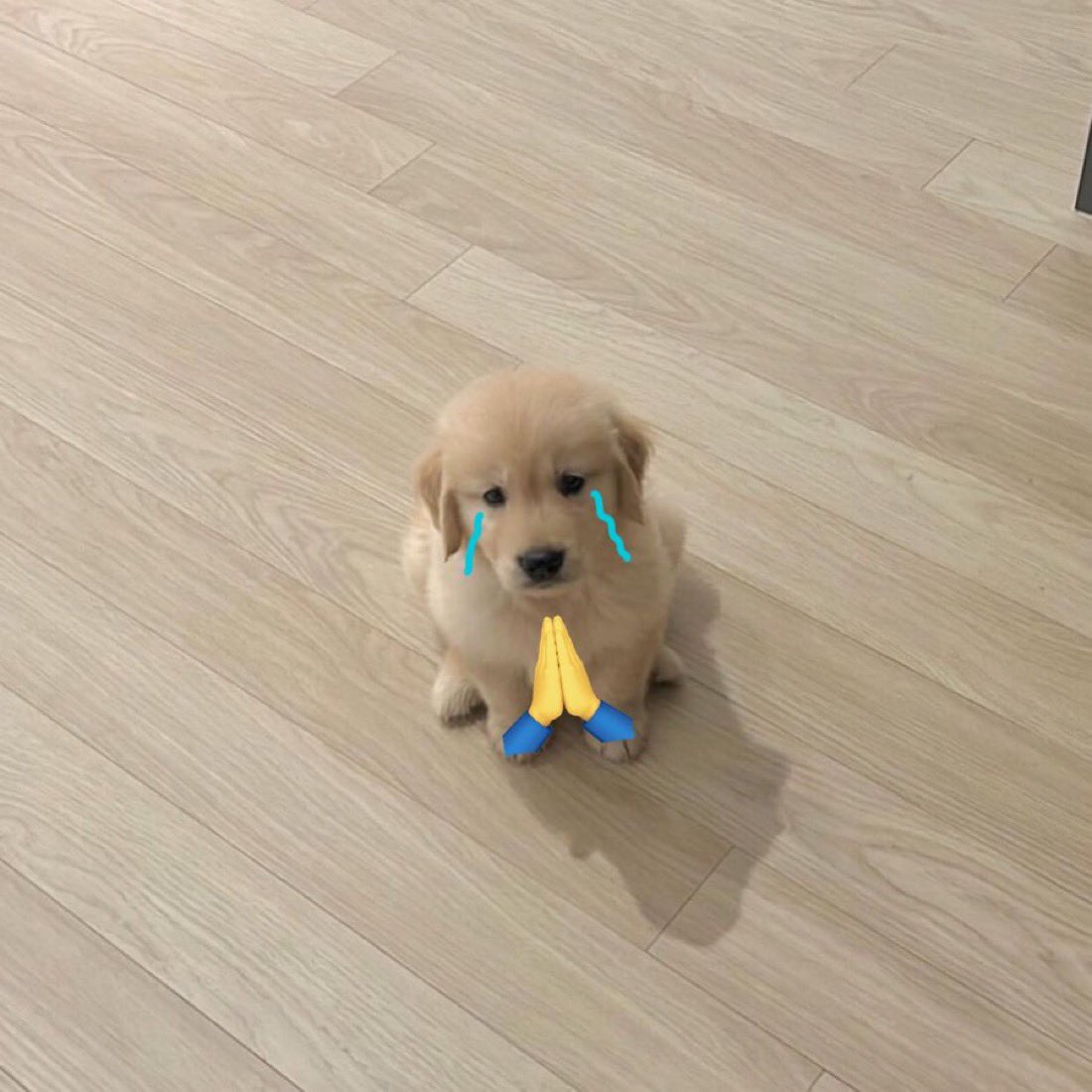 takemybear's tweet image. จั๊นขอโทด จั๊นจะไม่มองสาวๆคนอื่นอีกแร้ว 🥺