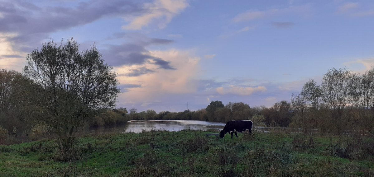 Date for the diary - August 5th enjoy a guided walk around Alney Island, taking in the scenery, its' history and enjoying the fresh air 🌳 💚 👉  orlo.uk/Hfpku