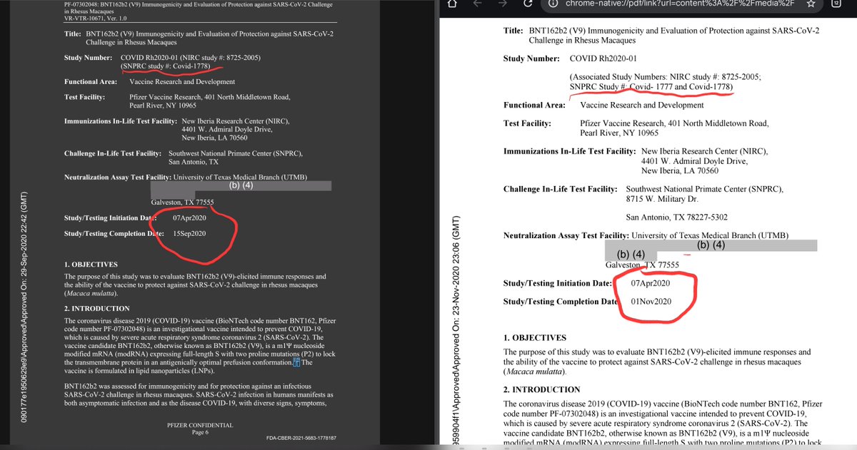 a_concerned_amyloidosis💜🐭🇩🇪 tweet media