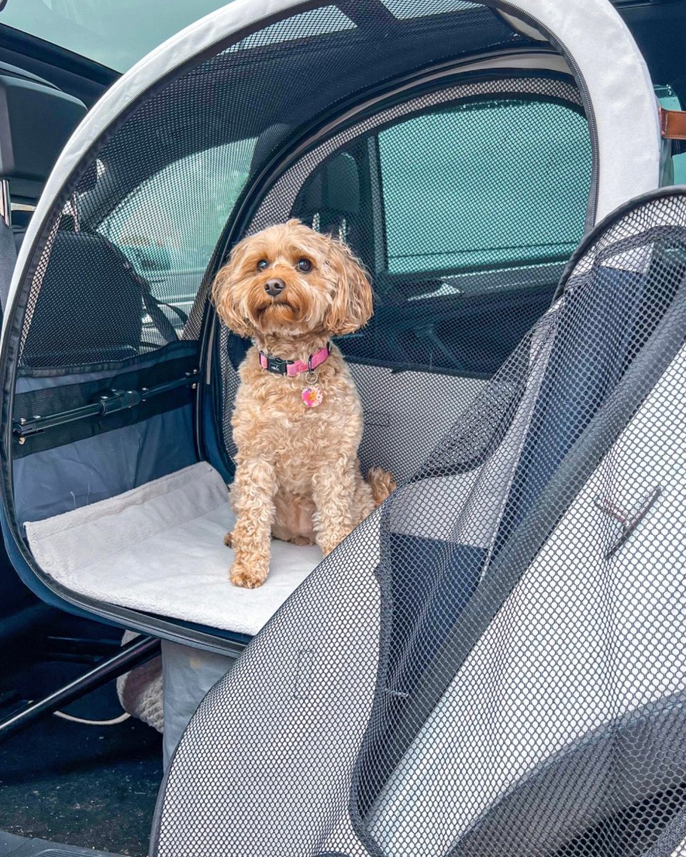 PetSafeFR's tweet photo. Construit pour le confort, conçu pour la commodité. 👌🐕
Prêt pour l'aventure ?
➡️ https://t.co/HsKL4AyGXu #PetSafe #PetSafeVoyage #PetSafeChien https://t.co/McjMSUTKIL