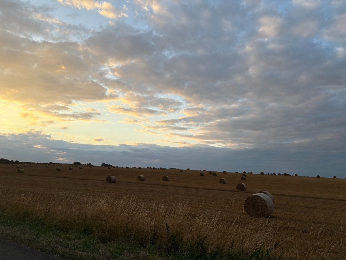 📸 [CONCOURS PHOTO D'ETE - LUMIERES SUR MA FERME]

🌾Photo N°16 : Une moisson presque terminée sous un ciel chargé mais lumineux

Audrey Decorte capture un moment paisible typiquement champenois à Romery, le champ doré contraste avec les nuances grises et dorées du ciel.