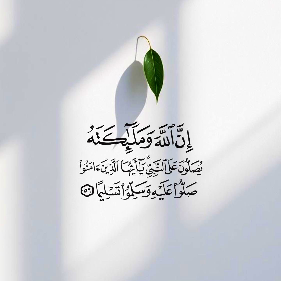 ‏ⓊⓂ ⓇⒶⒽⒶⒻ tweet media