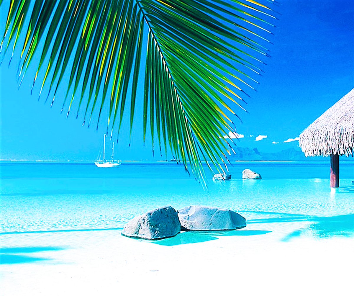 mer51222's tweet image. Bon 🌞Jour mes Amis
Que votre Ciel soit bleu 🌞
Que votre Jour soit beau 🌞
Que votre Cœur soit heureux 🌞
