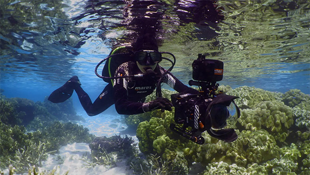 C21Media's tweet image. BioQuest Studios among latest four firms to get Screen Queensland funding dlvr.it/TM66zn