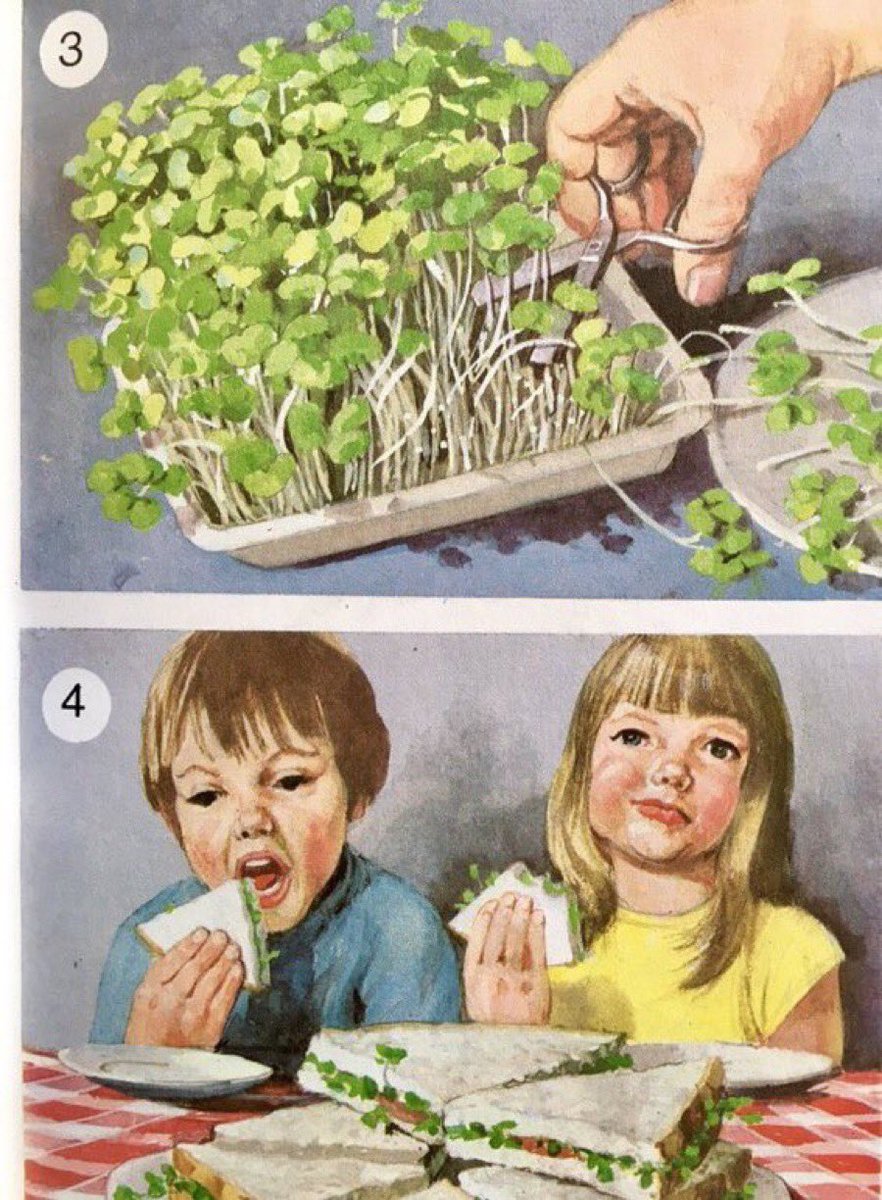 Everyday Ladybird things. 
At home, at school, lots and lots of cress

Artist: Harry Wingfield 
Talkabout Gardens, 1976