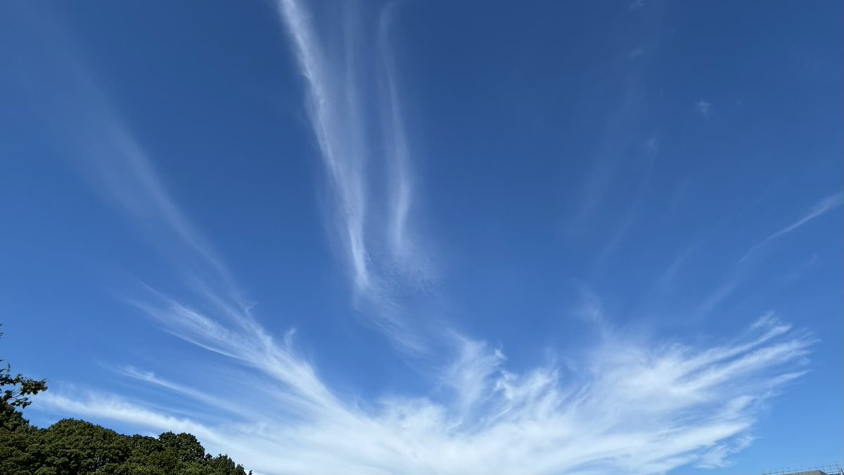4OBMe7TLUulbwg3's tweet image. おつかれさまです
若干バテ気味ですが、
なんとか週末まで持ちました😃
今週もありがとうございました
来週もよろしくお願いします
良い週末をお過ごしください
☺️✨🍧🥤🍉🌻
#おつかれ戦隊0725r7
#TLを花でいっぱいにしよう
#土日はお休み