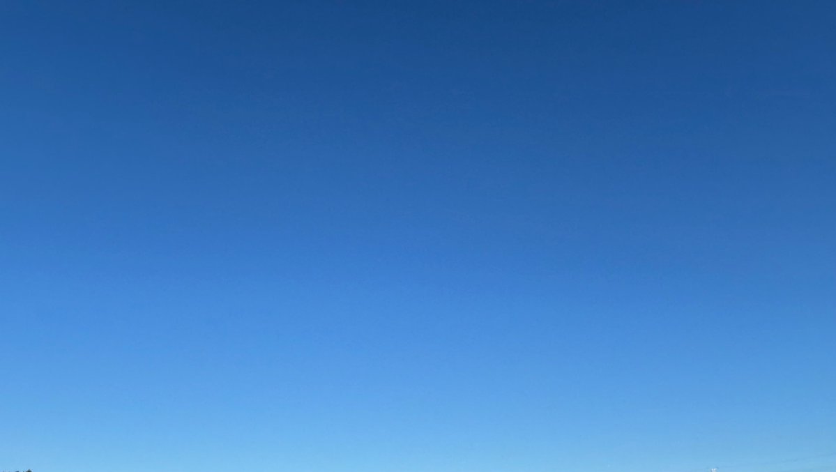4OBMe7TLUulbwg3's tweet image. おつかれさまです
若干バテ気味ですが、
なんとか週末まで持ちました😃
今週もありがとうございました
来週もよろしくお願いします
良い週末をお過ごしください
☺️✨🍧🥤🍉🌻
#おつかれ戦隊0725r7
#TLを花でいっぱいにしよう
#土日はお休み
