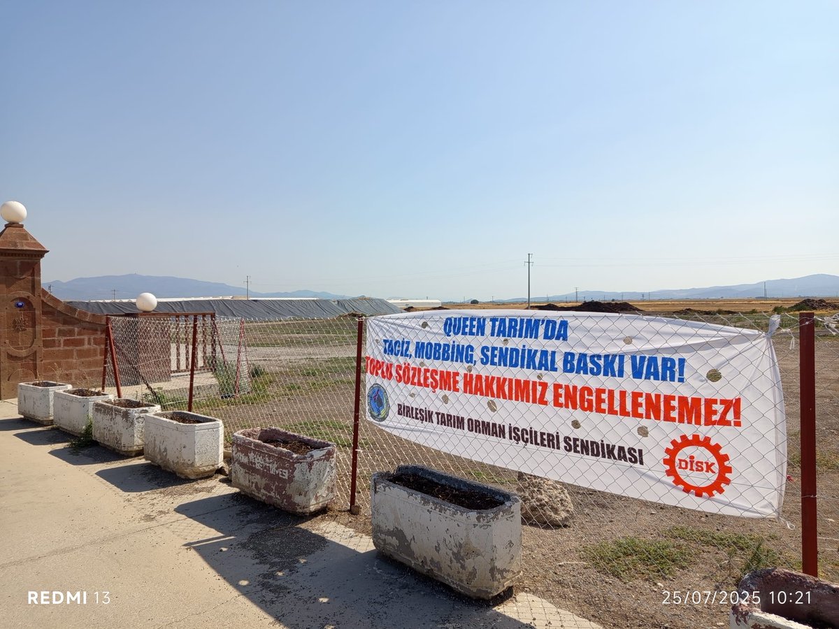 📍İzmir | Dikili | Queen Tarım
Bugün direnişimizin 23. günü.
Günlerdir kapıdayız; sıcağa, baskıya, yok saymaya karşı dimdik ayaktayız.
Çünkü biliyoruz:
Bir çiçek nasıl emek isterse, bir hak da mücadeleyle kazanılır.
Ne tehditler ne sessizlik bizi yıldıramaz.
Bu sadece işimizi