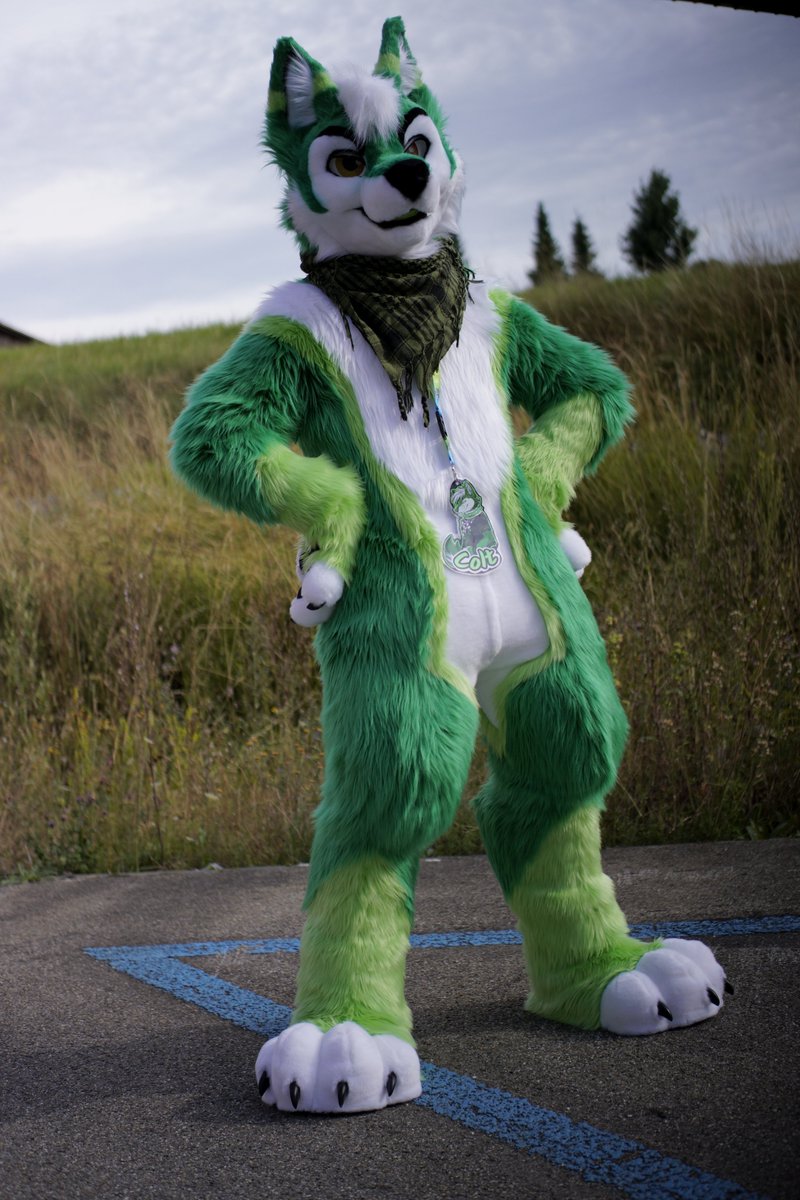 ColtArokaii's tweet image. Green doggo is happy, he finaly went out for some walkies🐾🐾🐾
#FursuitFryday
📸: @irtimidlougon
🪡: @MadeFurYou