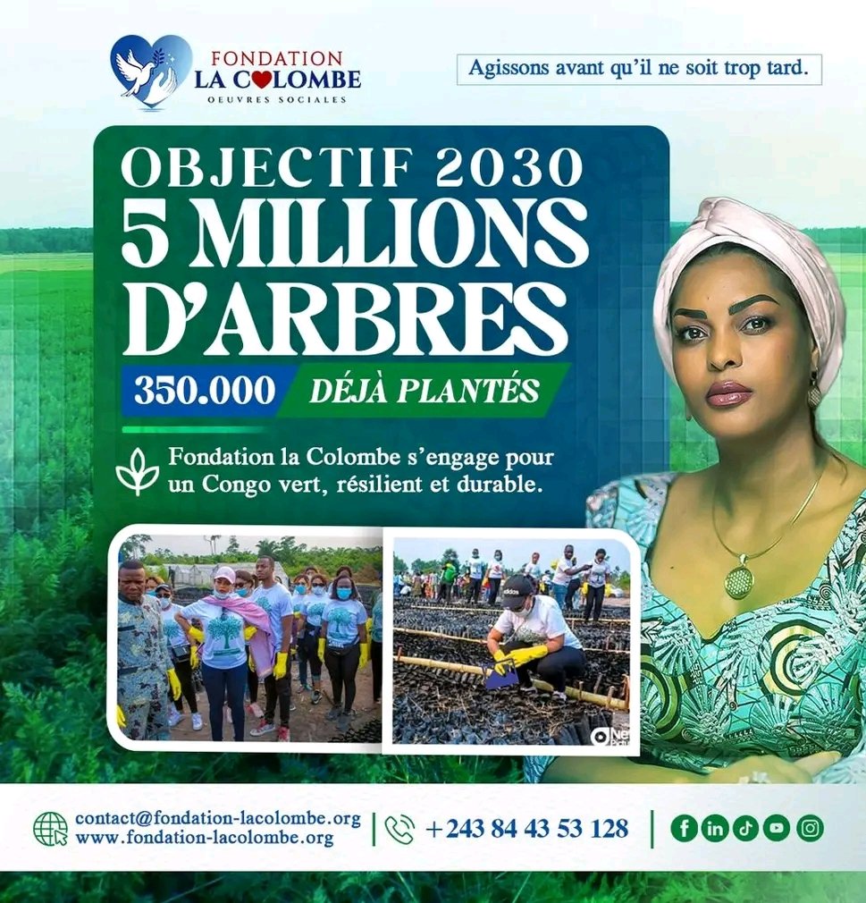 JuvenalNtumba's tweet photo. Lancement officiel de la campagne de reboisement de la Fondation La Colombe

5 millions d’arbres, 5 millions d’espoirs: La vision écologique de la Fondation La Colombe.

 Aujourd’hui, nous lançons officiellement l’une des plus grandes campagnes de reboisement en Afrique centrale. https://t.co/Tfhb9Noarr