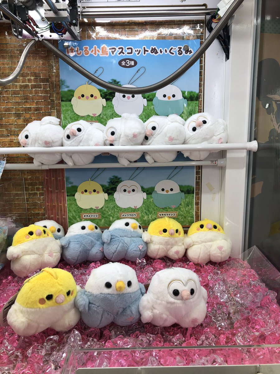 本日入荷】走る小鳥 マスコットぬいぐるみ 入荷致しました。 当店