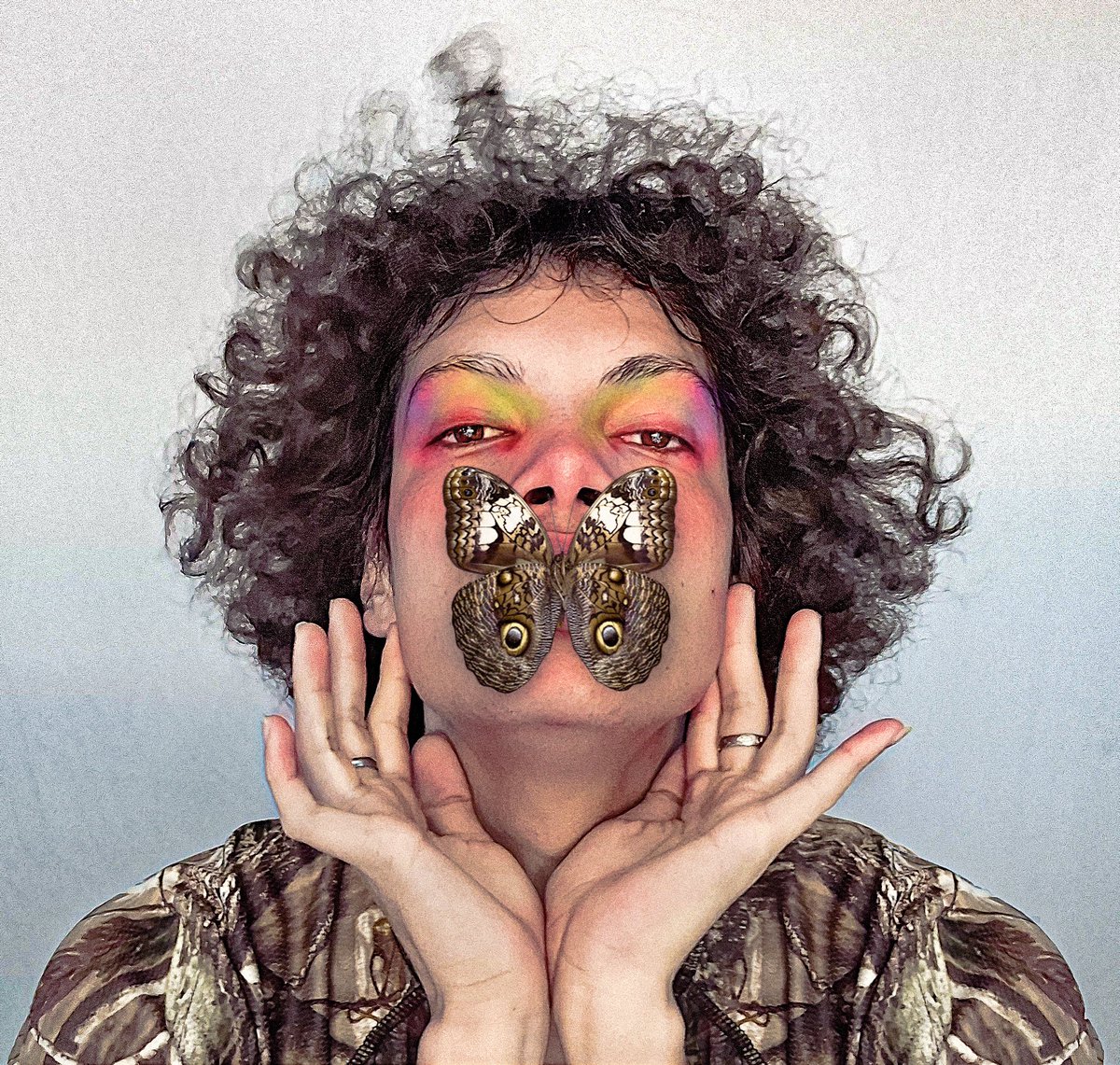 Bujarras tweet media