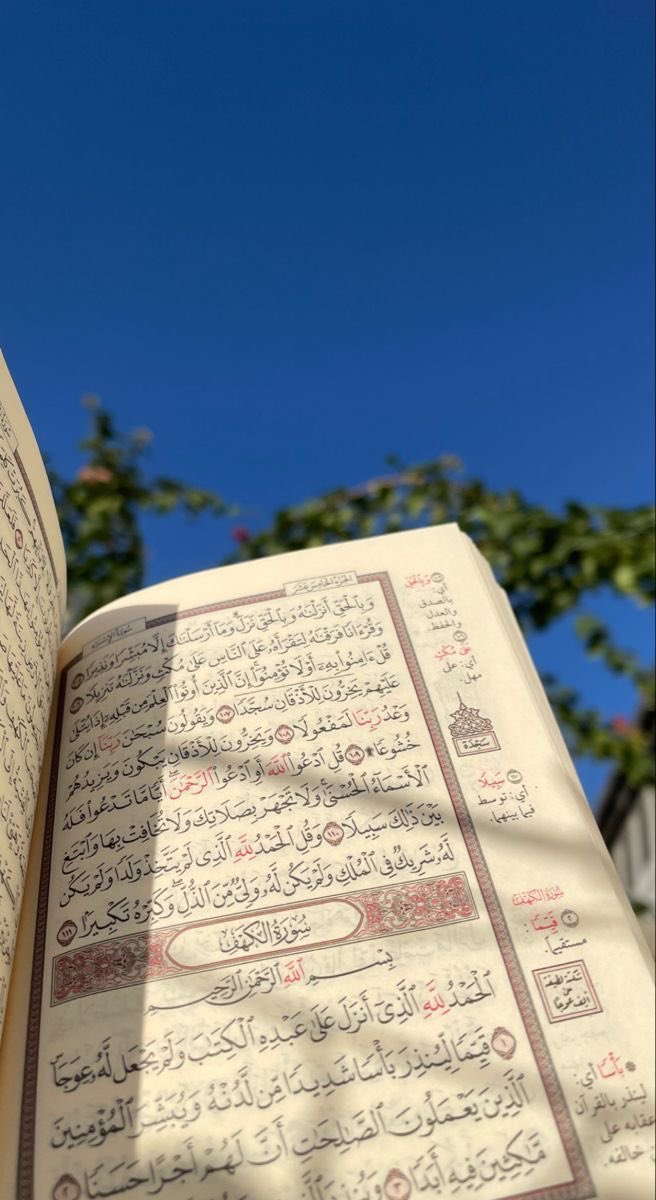 _eqraa_read's tweet image. فإنَّ صلاتكُم تبلُغُنِي حيثُمَّا كنتُم
اللهم صلِّ وسلّم على نبينا مُحمّد🌹