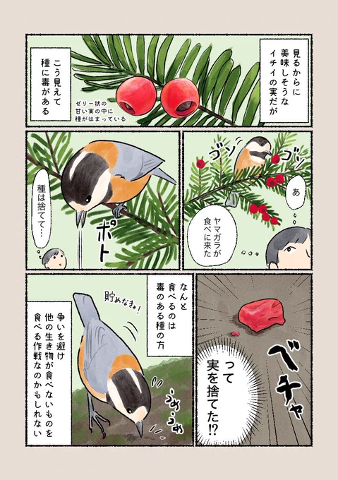 意外と知らない鳥の生活
「そっちかい」 
なぜ毒が大丈夫なのかは謎です。 