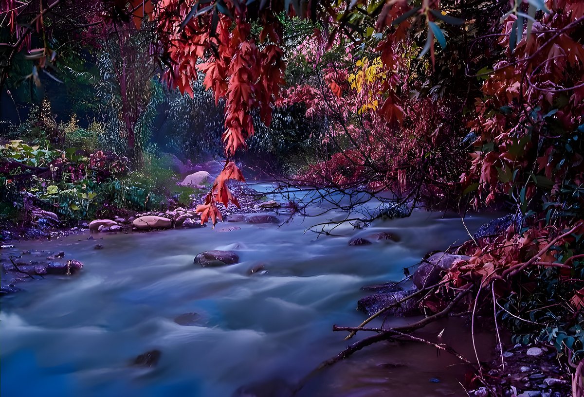 ZaSa230's tweet image. Good morning #NFTCommunity
new drop on @objktcom
Whispering Waters
12/12 , 6 tezos
#photography #NaturePhotography #TezosArts