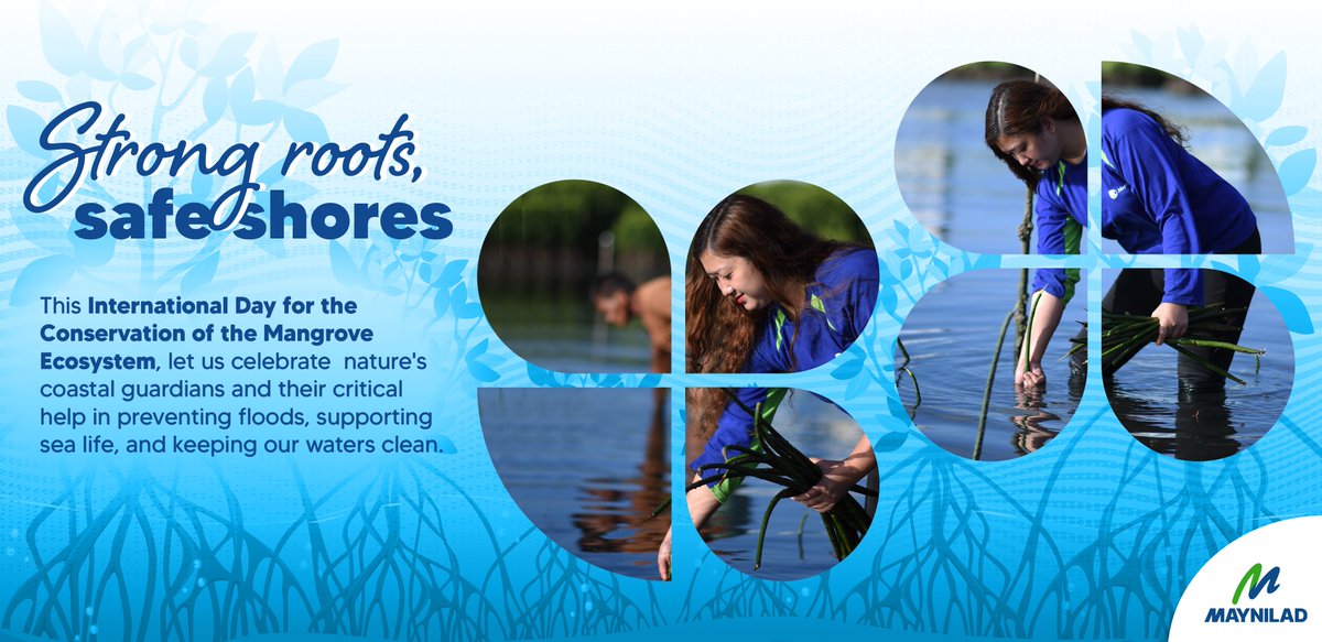 Alam n'yo ba? Ang mga mangroves ay tinaguriang superheroes ng ating shorelines! Malaki ang naitutulong ng mga ito sa climate action, food security, at coastal resilience.

Kaya naman, nakikiisa ang Maynilad sa pagdiriwang ng International Day for the Conservation of the Mangrove
