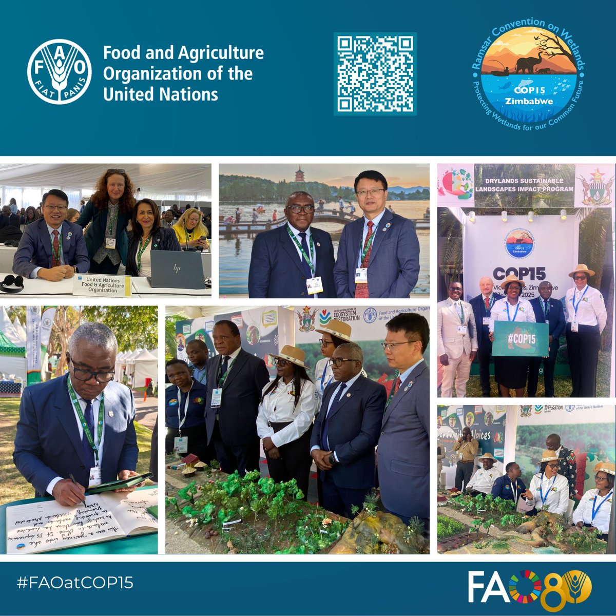 FAO Subregional Office for Southern Africa (@faosfsafrica) on Twitter photo .🏞️<a href="/FAO/">Food and Agriculture Organization</a> is at #RamsarCOP15 in Victoria Falls 🇿🇼 to scale up action on #wetlands conservation, sustainable use & restoration 🫶
#DSL_IP
Read more 🔗bit.ly/44PkG5D
Healthy wetlands mean resilient agrifood systems, clean water & climate protection
#ForOurCommonFuture 🌍 .🏞️<a href="/FAO/">Food and Agriculture Organization</a> is at #RamsarCOP15 in Victoria Falls 🇿🇼 to scale up action on #wetlands conservation, sustainable use & restoration 🫶
#DSL_IP
Read more 🔗bit.ly/44PkG5D
Healthy wetlands mean resilient agrifood systems, clean water & climate protection
#ForOurCommonFuture 🌍