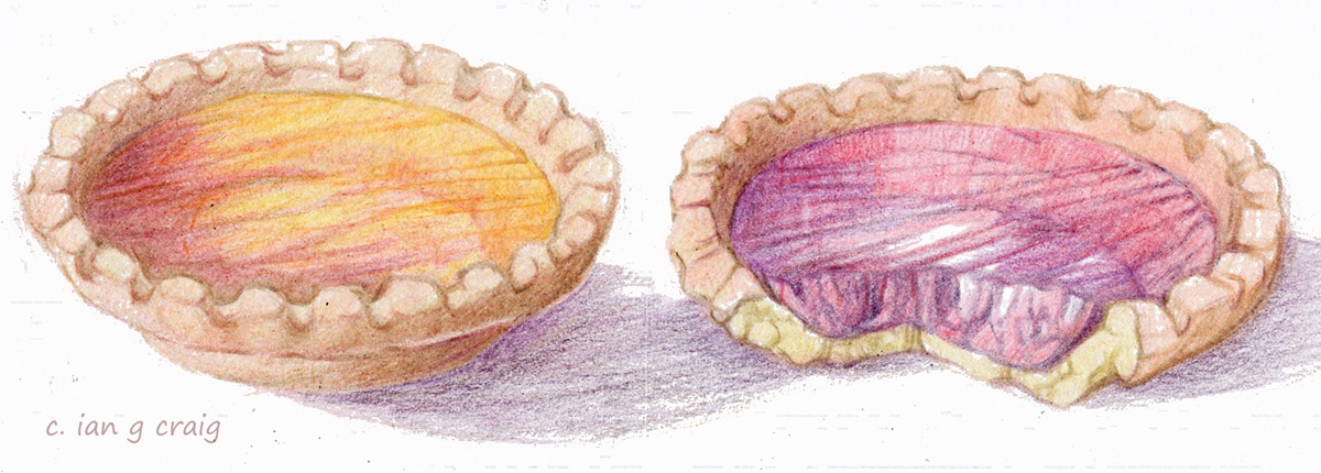 IanGordonCraig's tweet image. #Sketchbook #Snacks #Cake #Food #Drawing Jam Tarts.