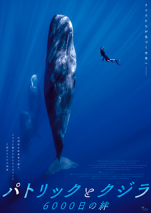 pintscope's tweet image. /
『#パトリックとクジラ 6000日の絆』
トークイベント付試写会
10組20名様ご招待🎁
\
クジラたちが息づく
深く青い海の世界へ―――
圧倒的な映像美で綴る
ドキュメンタリー🐳🌊
📝応募方法(7/30〆)
①@pintscopeをフォロー
②このポストをリポスト
当選はDMで📩
詳細👇
pintscope.com/preview/presen…
